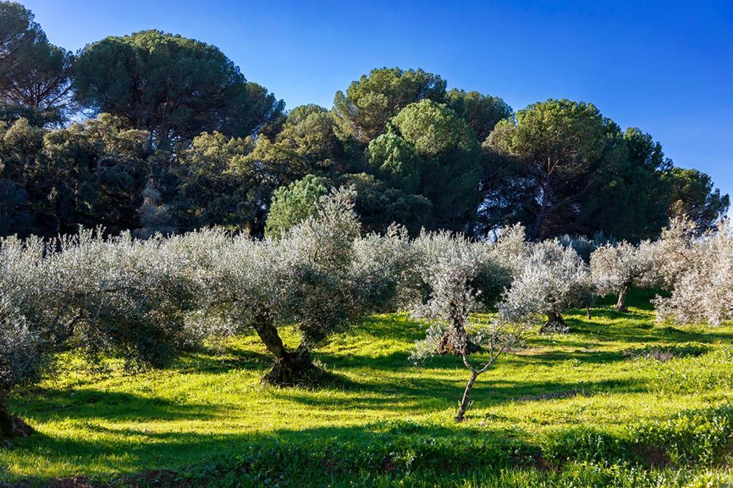 فيلا Isla Virgen Villaviciosa de Córdoba المظهر الخارجي الصورة